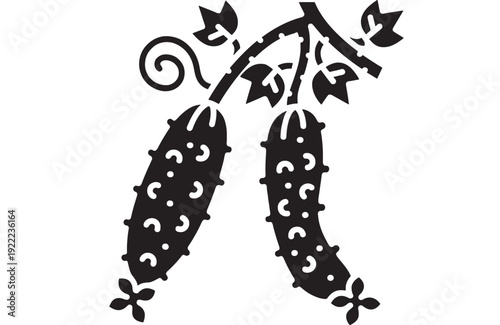 Cucumbers silhouette icon with hanging gherkins on vine, black stencil clipart of pickling vegetable harvest, simple flat botanical symbol isolated on white