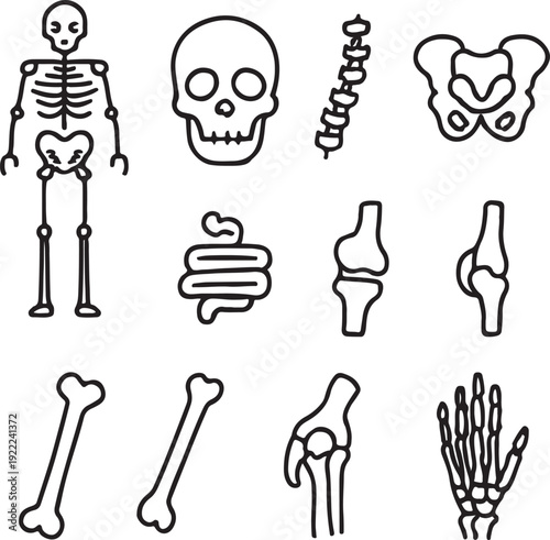 Human Skeletal System Medical Anatomy Icon Set