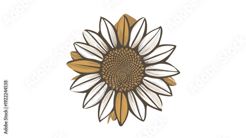 Stylized Sunflower Illustration