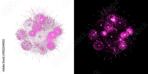 Schilderij op canvas Pink colorful firework with transparent background and black background
