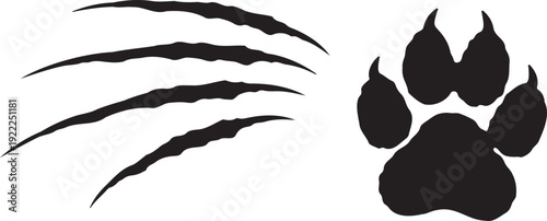 Close-up of a young woman with wavy brown hair and natural makeup, surrounded by iridescent soap bubbles on a grey background