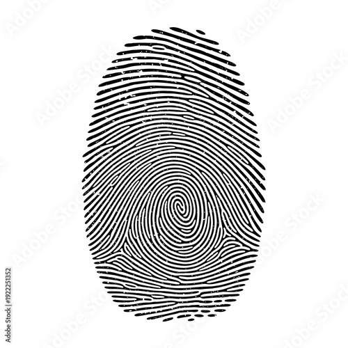 Detailed Biometric Identity Scan Pattern for Security Systems
