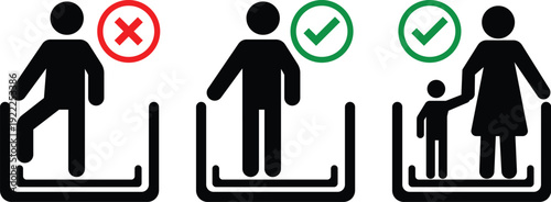 set of hair brushes vector