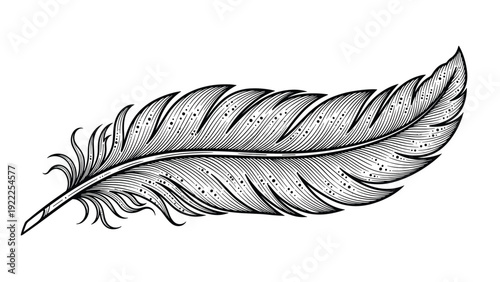 Detailed black and white engraving of a single bird feather with intricate textures and fine line details for artistic design.