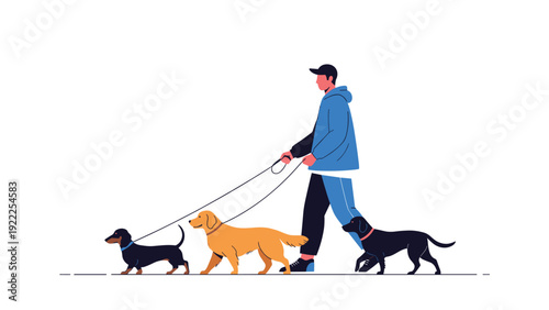 Man in casual blue clothing walking three different breeds of dogs on leashes against a clean white background in a park.