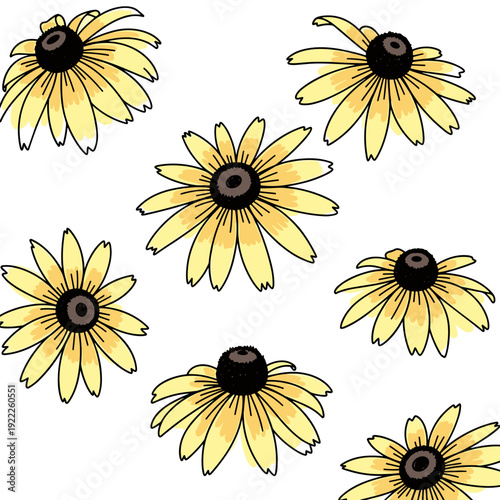 Collection of Yellow Echinacea Flower Head Illustrations