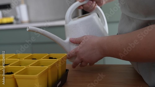 Home gardening: moistening soil before sowing seeds