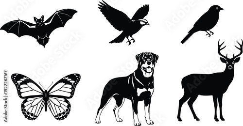 Black silhouette animal collection featuring bat hawk songbird monarch butterfly rottweiler dog and forest deer stag isolated on white background