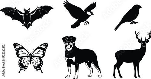 Black silhouette collection of wild and domestic animals including bat bird butterfly dog and deer isolated on white background vector