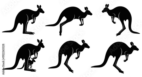 Kangaroo Silhouette Vector Collection