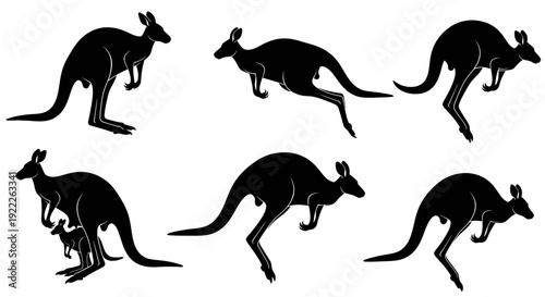 Kangaroo Silhouette Vector Collection