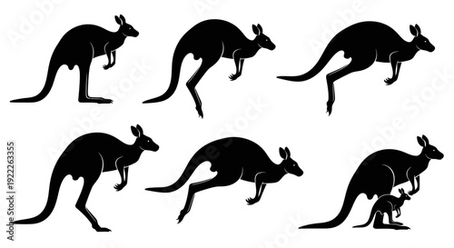 Kangaroo Silhouette Vector Collection