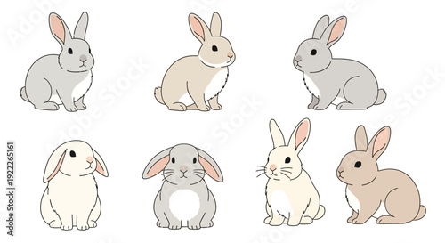 Illustration of Rabbits Sitting in Various Poses and Colors, Whisk_24327df35ad9b4cbeae447f7adfad7a1dr.eps