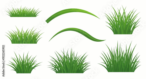 Collection of various green grass tufts and curved blades in different sizes and shapes, vector illustration