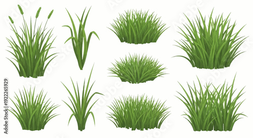 Collection of various lush green grass tufts and plants illustrated in different styles and sizes on a clean white background, viewed from directly above, Whisk reference