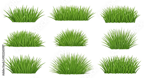 Collection of various lush green grass clumps arranged in a grid pattern illustration