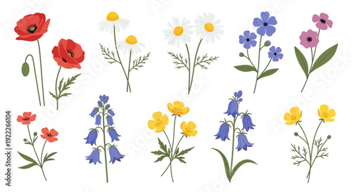 Collection of whimsical floral illustrations featuring various flowers and foliage in a clean, white space