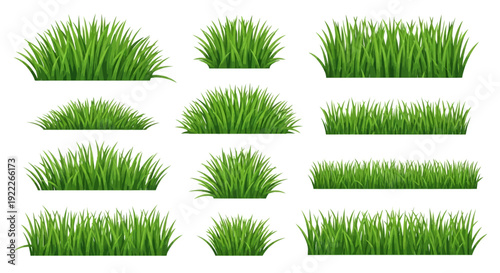 Collection of various grass clumps and tufts in different arrangements and heights, in a grid layout on a clean background