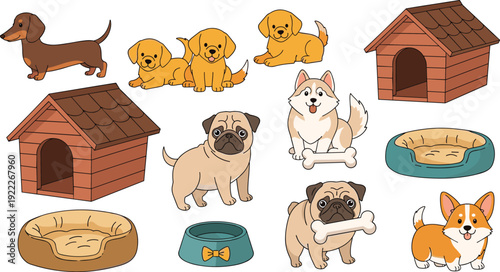 Cute dogs and puppies set with dog house bed bowl and bone, pet care and training concept, adorable animal collection, flat vector illustration