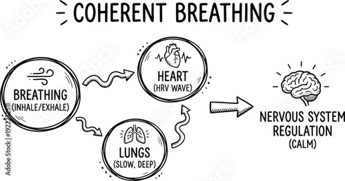 Coherent Breathing Doodle-Style Infographic Diagram Illustrating the Connection Between Balanced Breathing, Heart Rate Variability (HRV), and Lung Function Leading to Nervous System Regulation and Cal