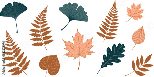 Autumn leaf illustration set with maple oak ginkgo and fern leaves in warm earthy colors and flat decorative style for fall seasonal designs