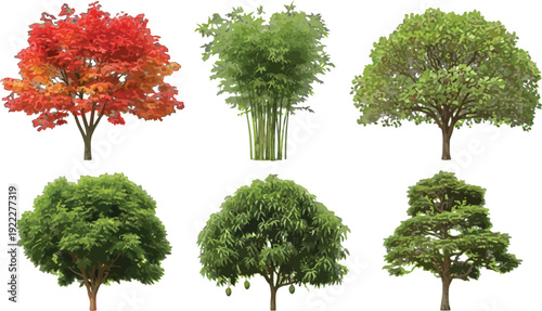 Set of various trees and plants including autumn tree, bamboo, and fruit tree. Detailed vector illustration for landscape design and architectural plans.