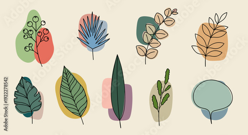 A collection of colorful and modern botanical leaves and plants in flat vector style, perfect for home decor and branding