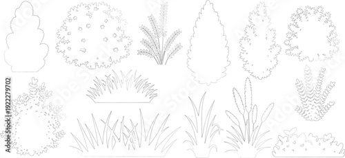 collection of CAD trees, shrubs, and grass plants isolated on a white background. vector illustration
