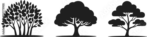 Flat vector illustration of three stylized tree silhouettes with distinct trunks and foliage shapes, botanical design concept for nature landscape art