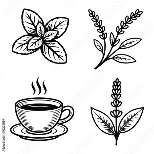 Collection of tea and herbal branch icons in simple black line art style featuring cup and mint