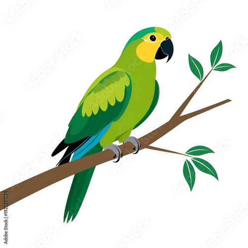 green parrot on a branch isolated on white, green parrot vector illustration, bird vector art, green parrot silhouette, cartoon parrot vector icon, eps
