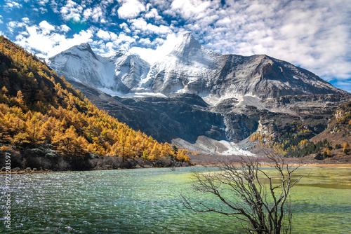 view of autumn highland snow mountain of Yading Nature Reserve, snow-capped mountains, crystal clear lakes, vast grasslands, colorful forests, Shangri-La Town, Daocheng, Sichuan, China