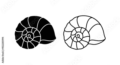 Ammonite shells, ancient fossil, natural history, paleontology, geology, science, education Vector