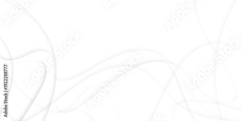 abstract white luxury background with white lines and seamless abstract curved various geometric wave shapes.	