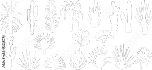 Set of desert flora agave, aloe, barrel cactus, saguaro, prickly pear, cholla, yucca, and desert wildflowers, line cad vector