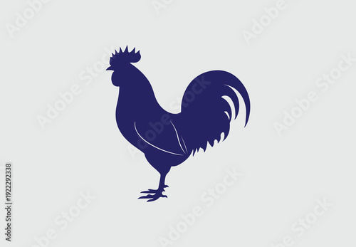 Rooster isolated on white background