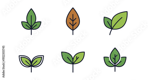 Agriculture leaf bold creative color illustration.eps
