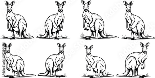 Kangaroo silhouette illustration, wildlife animal vector, Australian marsupial artwork, kangaroo posture drawing, nature design graphic, black and white sketch