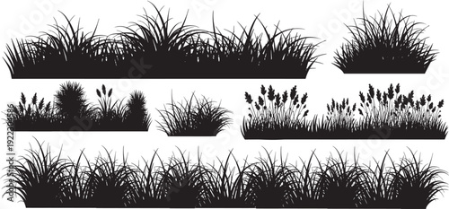 Grass, lawn, wild flowers,silhouette set, Spring meadow, floral garden horizontal border landscape element vector illustration