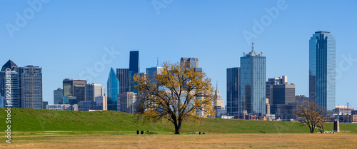 Photos Dallas, Texas downtown skyline with tree in Trinity river park