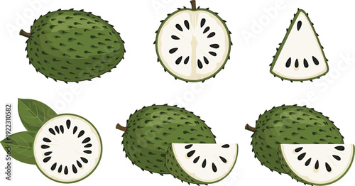 Flat vector illustration set of fresh green soursop fruit collection whole and sliced with black seeds and leaves for tropical food ingredient and agriculture.