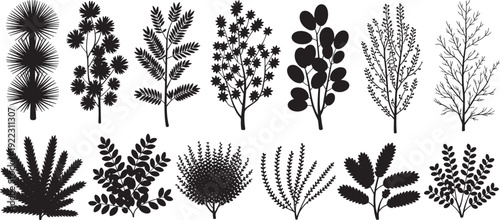 silhouettes of different field plant and leaves set,  different trees branches leaves silhouette set, vector illustrations