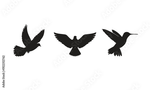 Silhouettes of a peaceful dove, vibrant hummingbird, and majestic eagle, highlighting flight, freedom, nature, elegance, and avian diversity in a striking composition.