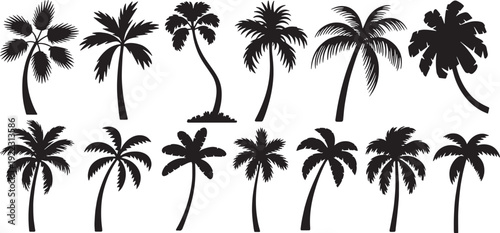 Tropical palm tree silhouettes set vector, beach coconut trees vector illustration, different styles of palm trees, featuring variations in trunk curvature and leaf structure.