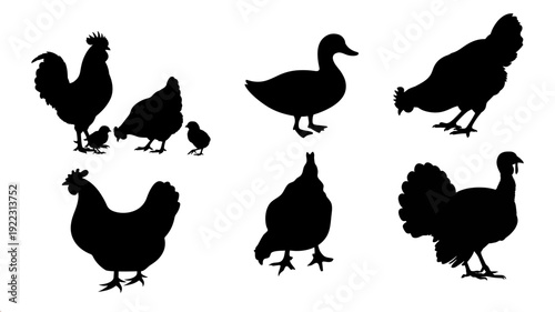 Cute cartoon farm animals and poultry silhouettes set featuring black vector illustrations of chickens, hens, roosters, and ducks for nature icons