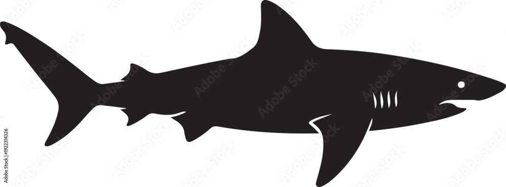 Fototapeta premium shark silhouette