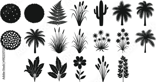 Tropical plants cactus palm fern and flower silhouettes set, botanical garden collection, black flat vector illustration isolated