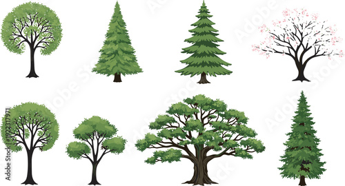 Collection of green deciduous and evergreen conifer trees with pink cherry blossom for nature landscape environment and botanical forest design