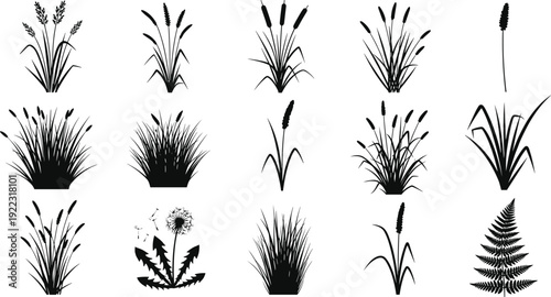 Wild grass and reed plant silhouettes collection, botanical meadow foliage set, black flat vector illustration isolated on white background