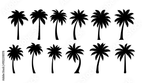 Palm tree silhouette vector set with tropical isolated palms in minimalist black flat design